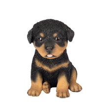 Load image into Gallery viewer, SoReal - Rottweiler
