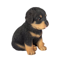 Load image into Gallery viewer, SoReal - Rottweiler
