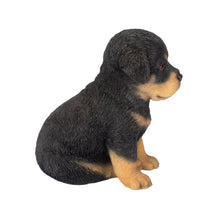 Load image into Gallery viewer, SoReal - Rottweiler
