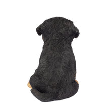 Load image into Gallery viewer, SoReal - Rottweiler
