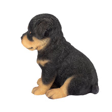 Load image into Gallery viewer, SoReal - Rottweiler
