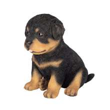 Load image into Gallery viewer, SoReal - Rottweiler
