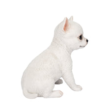 Load image into Gallery viewer, SoReal -  Chihuahua
