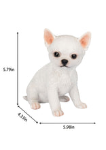 Load image into Gallery viewer, SoReal -  Chihuahua
