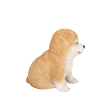 Load image into Gallery viewer, SoReal - Akita
