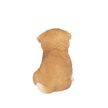 Load image into Gallery viewer, SoReal - Akita
