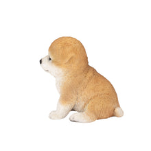 Load image into Gallery viewer, SoReal - Akita
