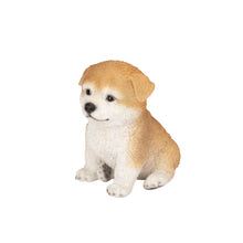 Load image into Gallery viewer, SoReal - Akita
