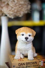 Load image into Gallery viewer, SoReal - Akita
