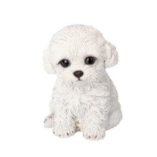 Load image into Gallery viewer, SoReal - Labradoodle
