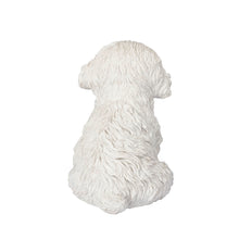 Load image into Gallery viewer, SoReal - Labradoodle
