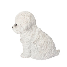 Load image into Gallery viewer, SoReal - Labradoodle
