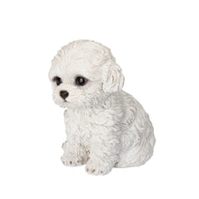 Load image into Gallery viewer, SoReal - Labradoodle
