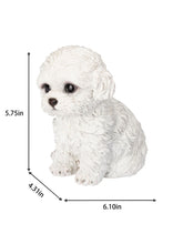 Load image into Gallery viewer, SoReal - Labradoodle
