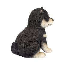 Load image into Gallery viewer, SoReal - Shiba
