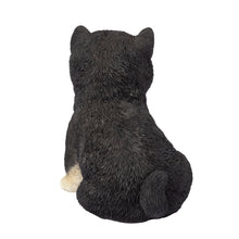 Load image into Gallery viewer, SoReal - Shiba
