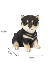 Load image into Gallery viewer, SoReal - Shiba
