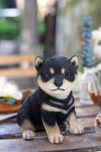 Load image into Gallery viewer, SoReal - Shiba
