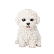 Load image into Gallery viewer, SoReal - Bichon Frise
