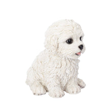 Load image into Gallery viewer, SoReal - Bichon Frise
