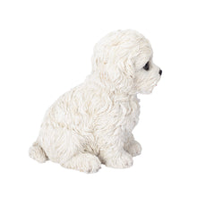 Load image into Gallery viewer, SoReal - Bichon Frise
