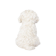 Load image into Gallery viewer, SoReal - Bichon Frise
