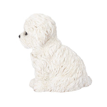 Load image into Gallery viewer, SoReal - Bichon Frise
