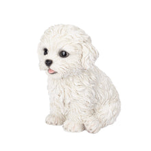 Load image into Gallery viewer, SoReal - Bichon Frise
