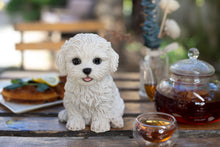 Load image into Gallery viewer, SoReal - Bichon Frise
