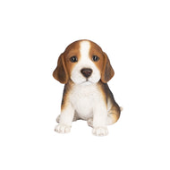 SoReal - Beagle