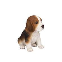 Load image into Gallery viewer, SoReal - Beagle
