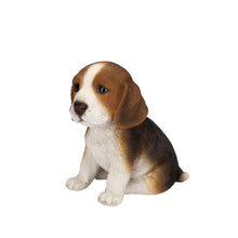 Load image into Gallery viewer, SoReal - Beagle
