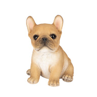 SoReal - French Bulldog