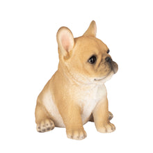 Load image into Gallery viewer, SoReal - French Bulldog

