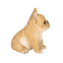 Load image into Gallery viewer, SoReal - French Bulldog
