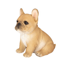 Load image into Gallery viewer, SoReal - French Bulldog
