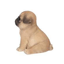 Load image into Gallery viewer, SoReal - Pug
