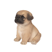 Load image into Gallery viewer, SoReal - Pug
