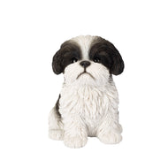 SoReal - Shih Tzu Sitting