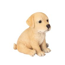 Load image into Gallery viewer, SoReal - Labrador
