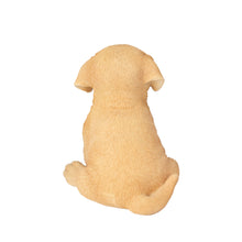 Load image into Gallery viewer, SoReal - Labrador
