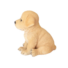 Load image into Gallery viewer, SoReal - Labrador
