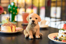 Load image into Gallery viewer, SoReal - Labrador
