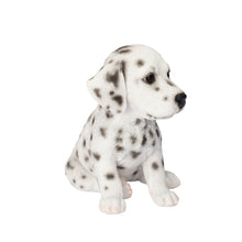 Load image into Gallery viewer, SoReal - Dalmatian
