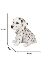 Load image into Gallery viewer, SoReal - Dalmatian
