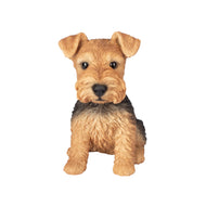 SoReal - Welsh Terrier