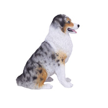 Load image into Gallery viewer, SoReal - Australian Shepherd
