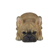 SoReal - French Bulldog