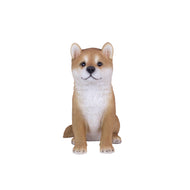SoReal - Shiba Inu