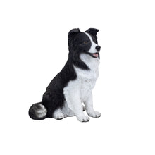 Load image into Gallery viewer, SoReal -  Sheepdog
